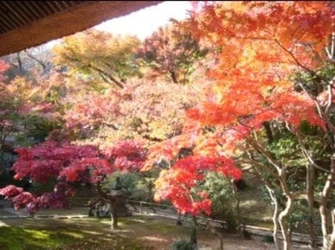 長寿寺（建長寺塔頭）