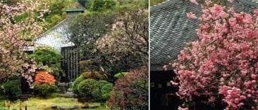 行時山 光則寺
