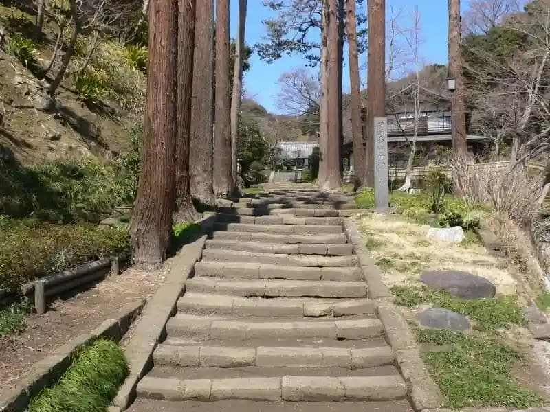 龍峰院