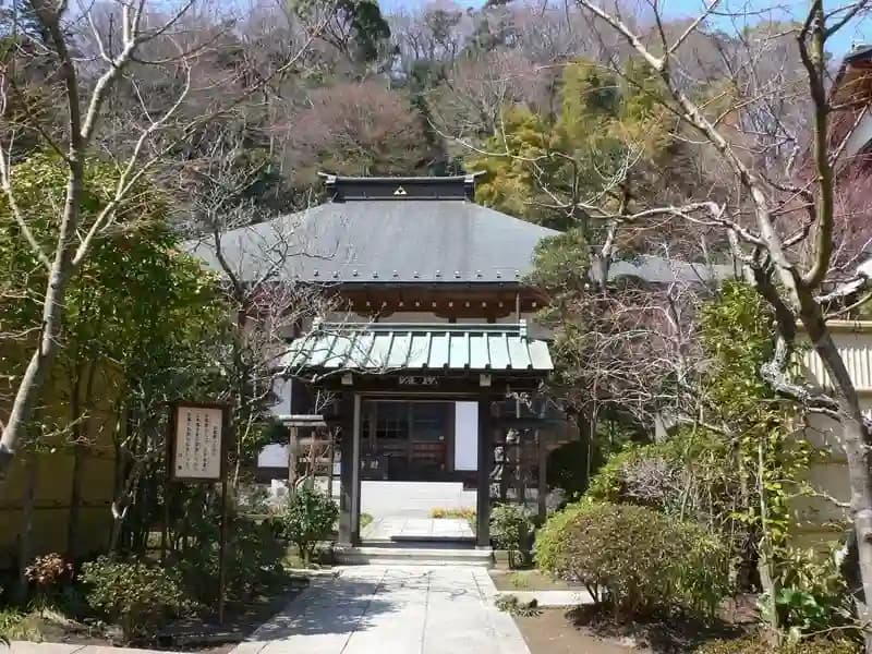 龍峰院