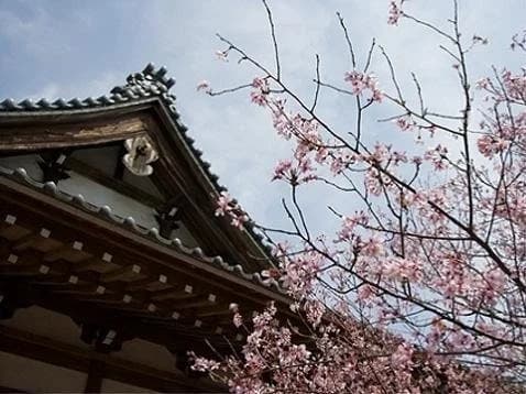 西林寺