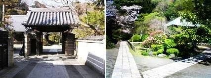 泉谷山 浄光明寺