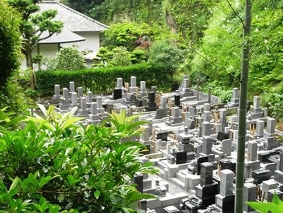 天源院