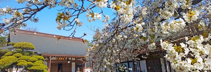 安楽寺