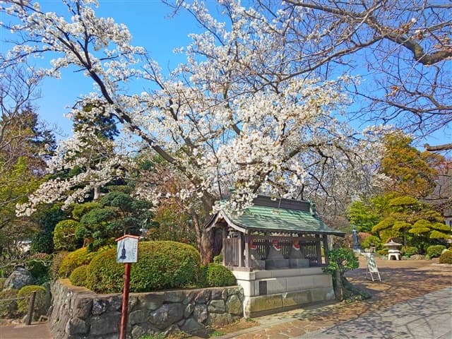 安楽寺