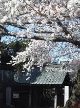 浄見寺