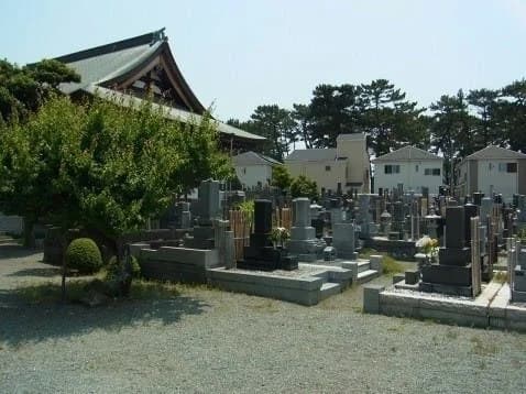 妙蓮寺
