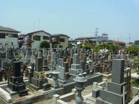 妙蓮寺