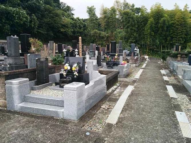 龍洞院