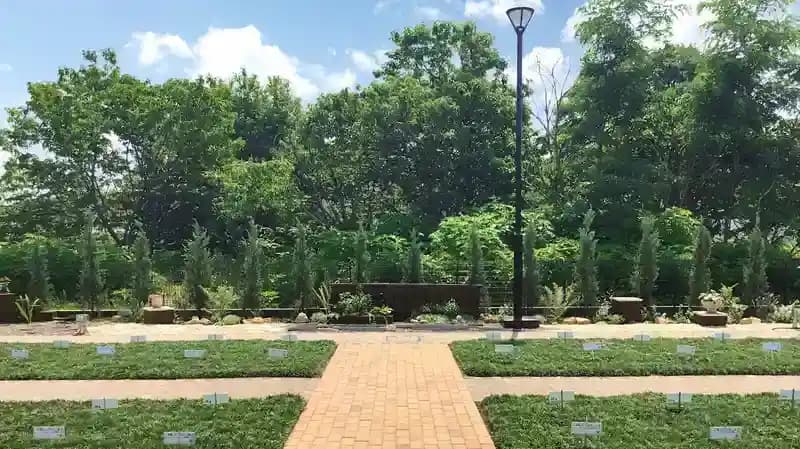 むさしの若葉園