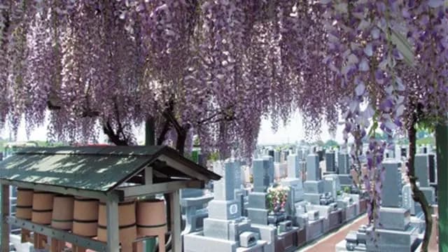 利休メモリアルパーク