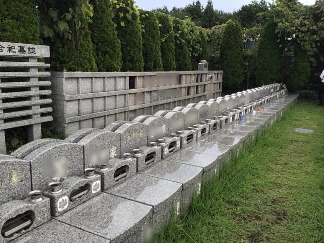 開放的で明るい園内