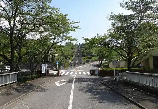 車でアクセスしやすい霊園