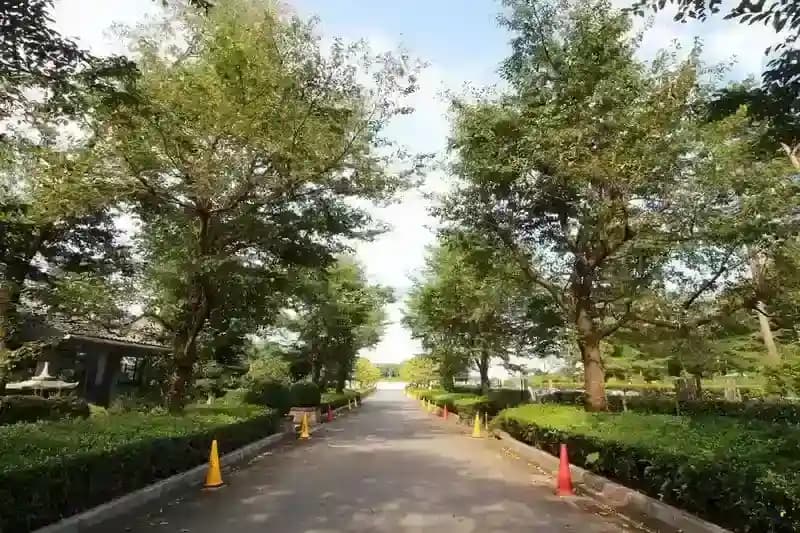 新所沢友愛聖地苑