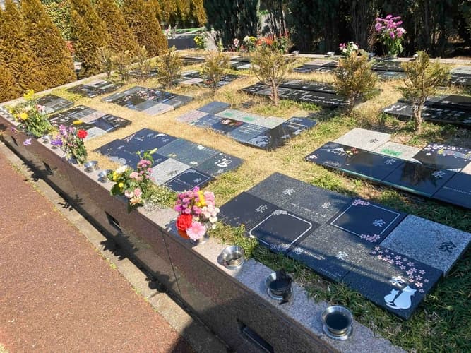 願誓寺 所沢市 樹木葬「アルベリ」