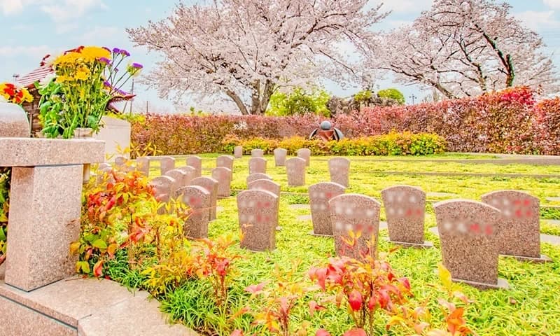 永代供養墓・樹木葬 メモリアルすぎと・用中寺