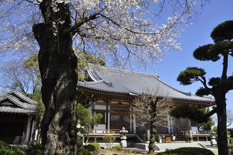 法光寺墓苑（伊奈町）