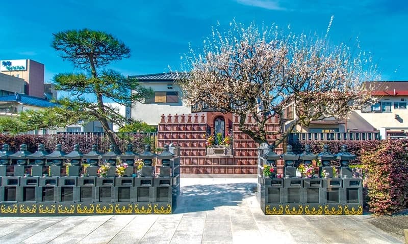 大信寺・樹木葬 永代供養墓