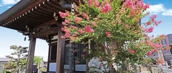 圓福寺墓苑（円福寺墓苑）