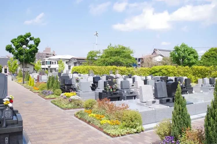 エバーグリーン金町