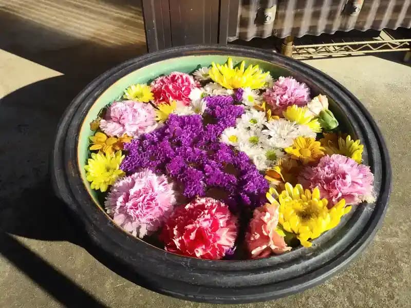 メモリーガーデン「あじさいの杜霊園」