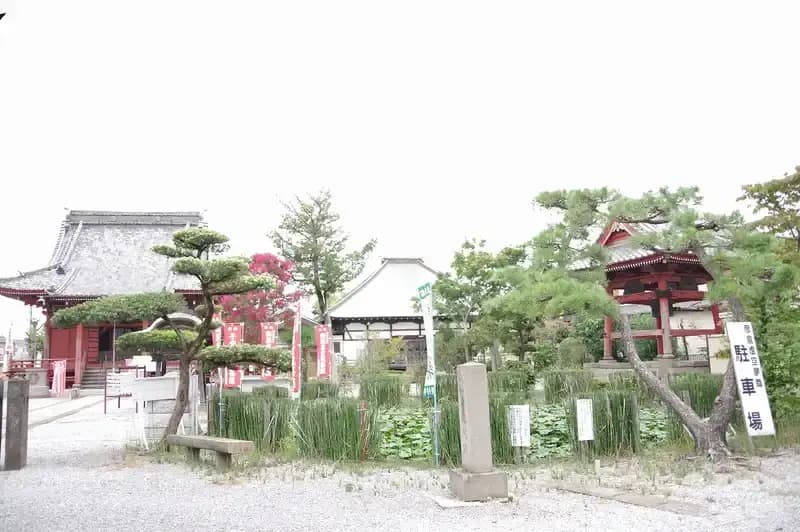 みさと樹木葬墓地