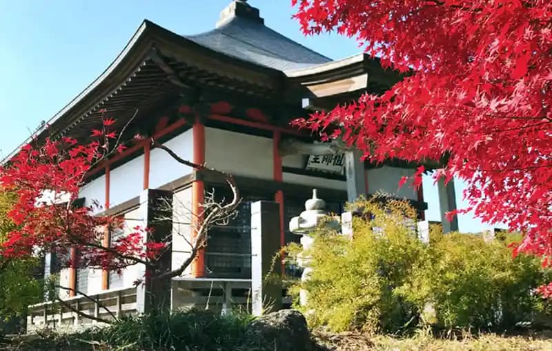 「愛樹木葬」東松山樹木葬おおどりの杜