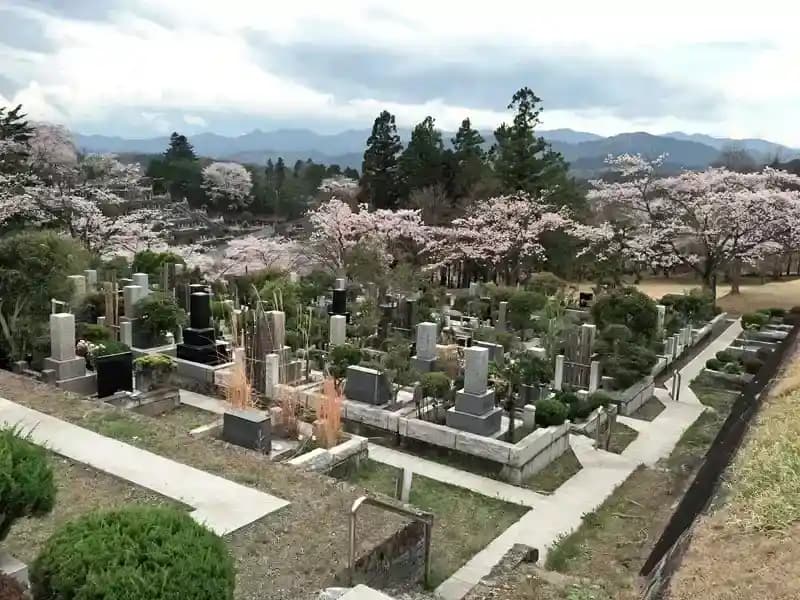 桜の季節
