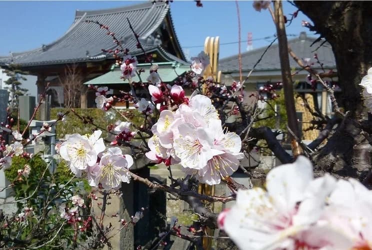 大仙寺