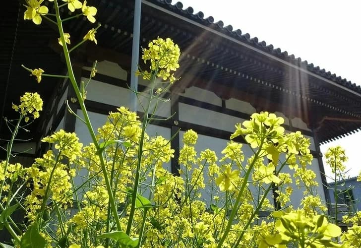 大仙寺