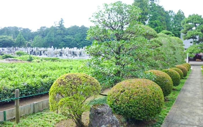 常円寺三宝墓苑