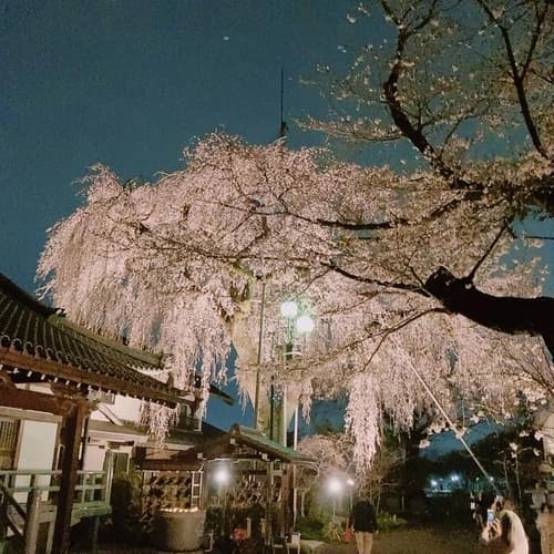 金仙寺墓苑