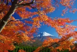 メモリーガーデン 彩の杜霊園