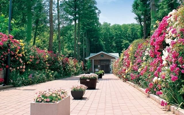 川越エンゼルパーク霊園