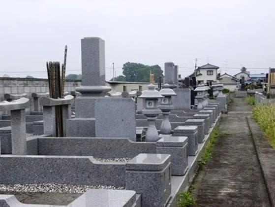 金乗寺