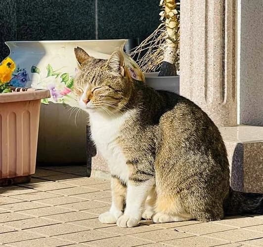 永代供養墓 安穏堂