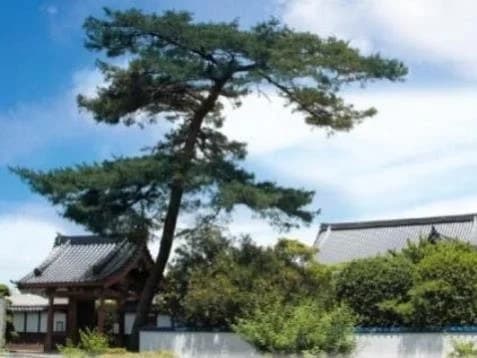 慶雲院