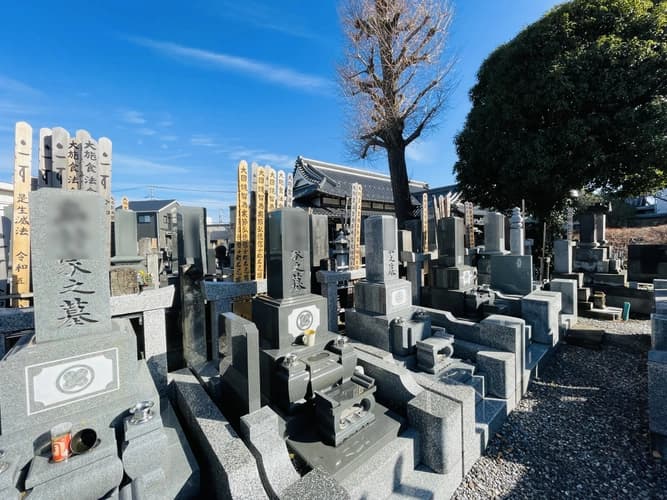 真光寺
