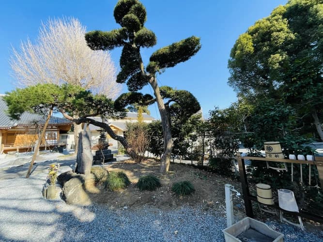 園内風景