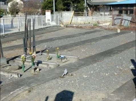 白林寺