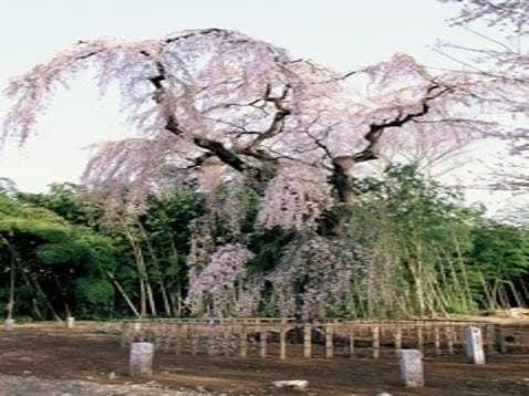 普門寺