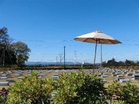 グリーンメモリアル川島