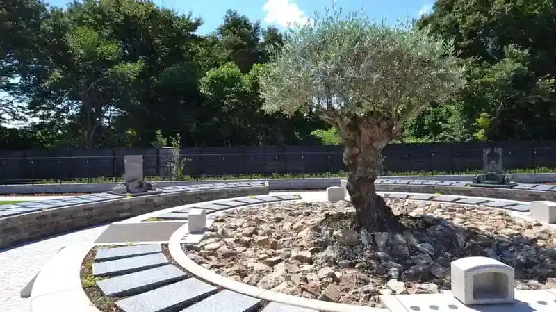 樹木葬公園墓地「オリーブGarden」