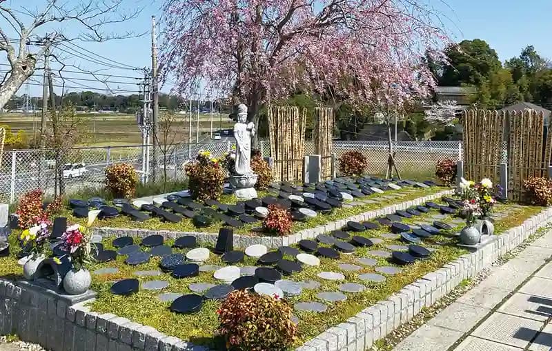 「愛樹木葬」柏樹木葬墓地