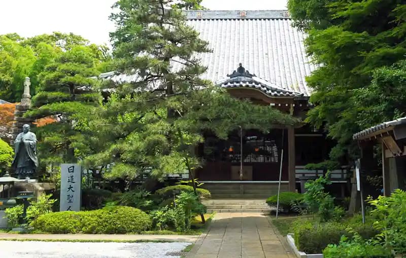 「愛樹木葬」柏樹木葬墓地