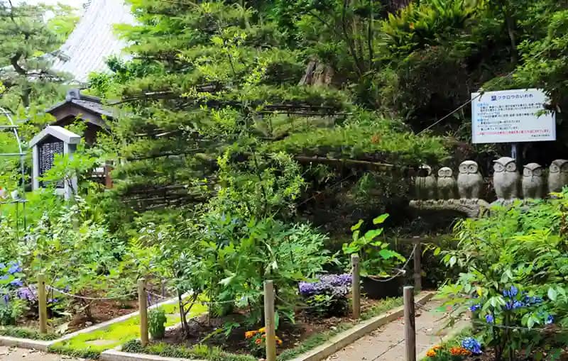 「愛樹木葬」柏樹木葬墓地