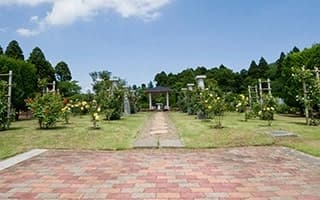 千葉中央霊園 ガーデニング型樹木葬「フラワージュ」