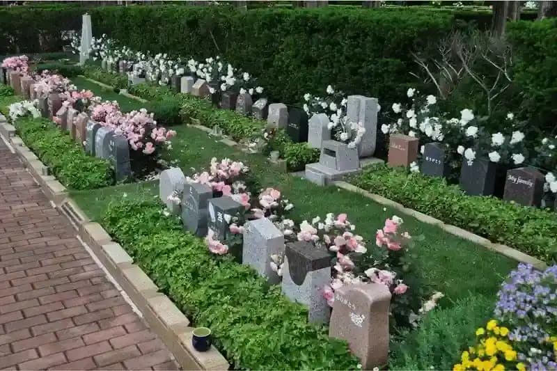 佐倉ふれあいパーク