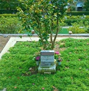高照寺 樹木葬墓苑