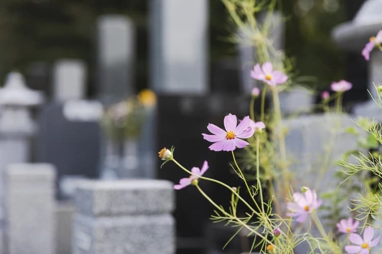 千葉市営 平和公園墓地